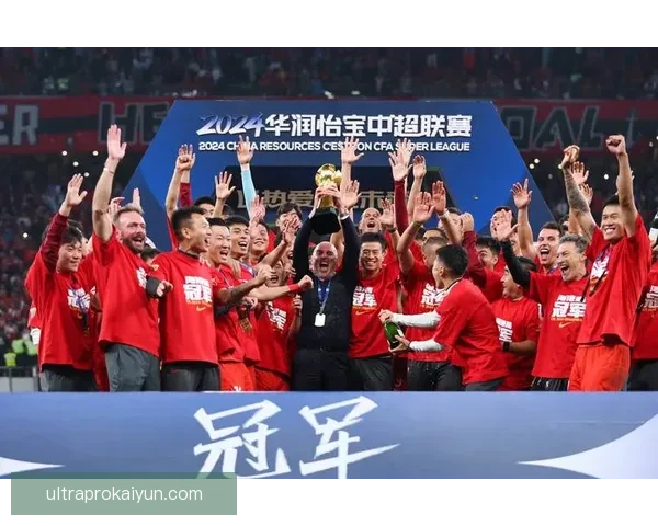 球员荣誉榜分析与当季表现总结，突出各项赛事成绩与成就